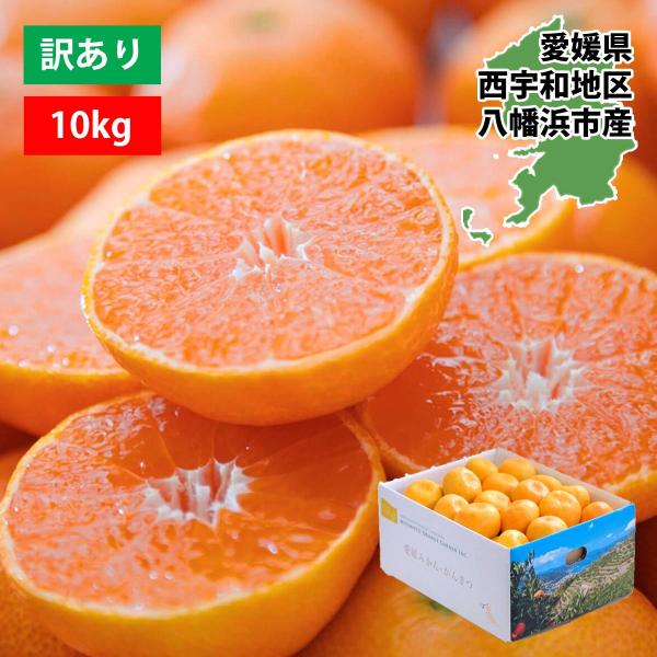みかん 10kg 甘い ご家庭用 訳あり 早生 南柑 大容量  2S〜3Lサイズ 50〜160玉前後...