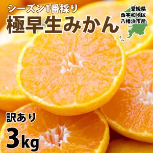 みかん 愛媛産 3kg 極早生 訳あり ご家庭用 西宇和地区 八幡浜市産 S〜Lサイズ 20〜30玉前後入り 甘酸っぱい 酸味 010134000406｜mikan-hana