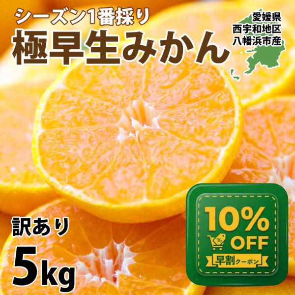 みかん 愛媛 5kg 極早生 訳あり ご家庭用 西宇和 八幡浜 ミカン 蜜柑 送料無料 産地直送 S...