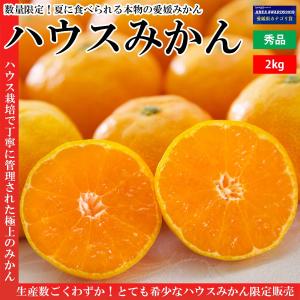 メルマガ限定 ハウスみかん 秀品 愛媛県産 2kg｜mikan-hana