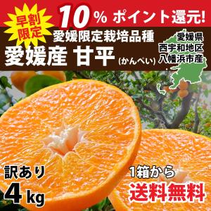 みかん 訳あり 5kg 甘平 かんぺい 濃厚 甘い 高級 愛媛