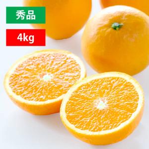 清見 清見オレンジ 清見タンゴール 秀品 4kg みかん 愛媛 人気 オレンジ 直送 旬 贈答｜mikan-hana