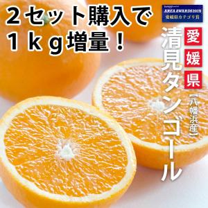 みかん 愛媛産 清見オレンジ 訳あり 2kg 2箱購入で1kg増量