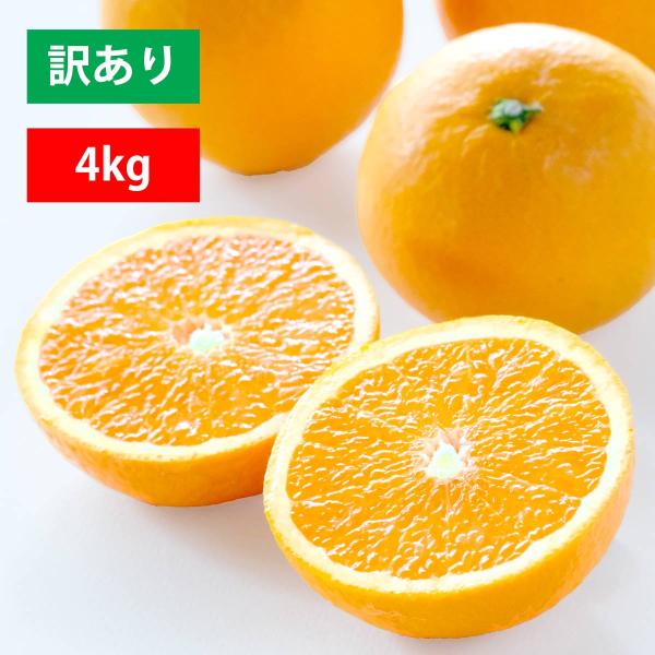 みかん 清見 オレンジ タンゴール 訳あり 4kg 愛媛 八幡浜 オレンジ 甘い 濃厚 箱 産地直送