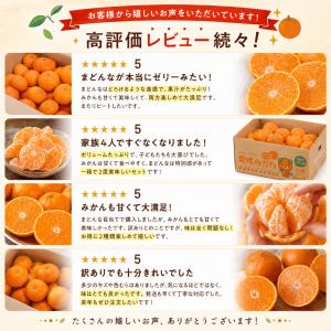 みかん まどんな 食べ比べ 詰め合わせ セット...の詳細画像1