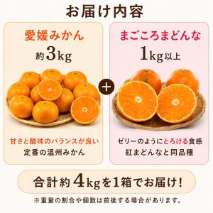 みかん まどんな 食べ比べ 詰め合わせ セット...の詳細画像2