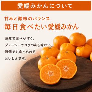みかん まどんな 食べ比べ 詰め合わせ セット...の詳細画像5