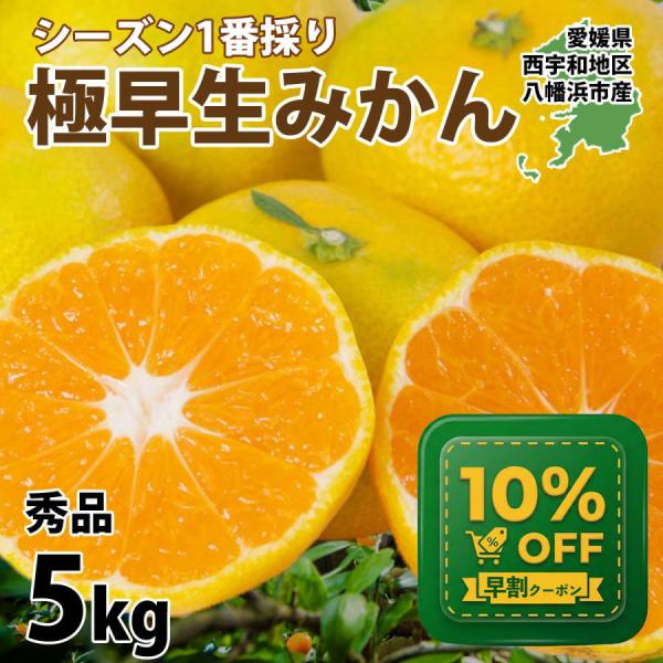 みかん 愛媛 5kg 極早生 秀品 西宇和地区 八幡浜 ミカン 蜜柑 早い S〜Lサイズ 40〜60...