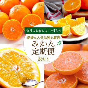 プレゼント みかん かんきつ 定期便 全12回 訳あり ご家庭用 愛媛産  高級 希少 まどんな 甘平 せとか 頒布会 010102501201 ポイント利用 爆買