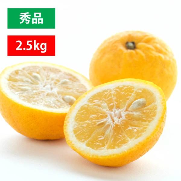 みかん 日向夏 ニューサマーオレンジ 小夏 秀品 2.5kg  愛媛 八幡浜 かんきつ 柑橘 フルー...
