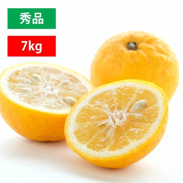 みかん 日向夏 ニューサマーオレンジ 小夏 秀品 7kg 愛媛 八幡浜 産地直送 ポイント利用 爆買