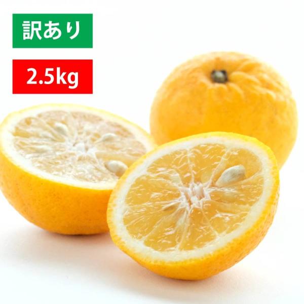 みかん 日向夏 ニューサマーオレンジ 小夏 訳あり 2.5kg 愛媛 八幡浜 かんきつ ミカン 柑橘...
