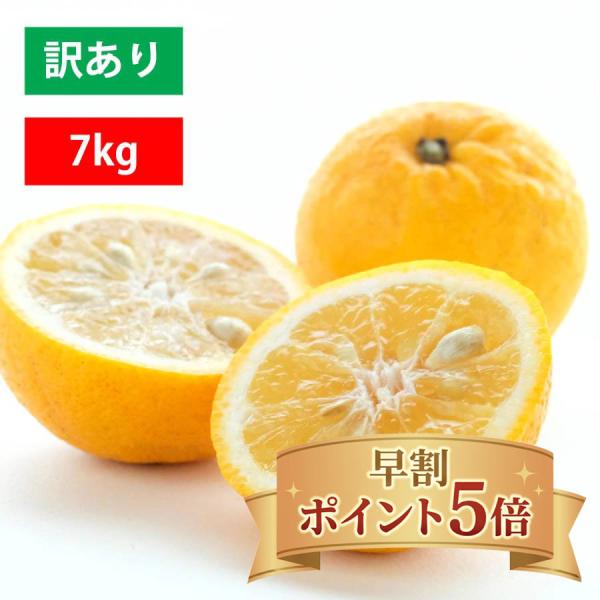 みかん 愛媛 日向夏 ニューサマーオレンジ 小夏 訳あり 7kg みかん 愛媛 爽やか 直送 旬 ご...