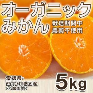 訳あり オーガニックみかん5kg　甘い完熟農薬不使用みかん(栽培時農薬不使用) 早生温州 5kg 愛媛西宇和産 産地直送 送料無料 お取り寄せ