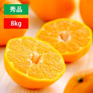 みかん ポンカン 愛媛産 秀品 8kg 濃厚 甘い さわやか 柑橘類 国産 ミカン 蜜柑 果物 フルーツ お取り寄せ