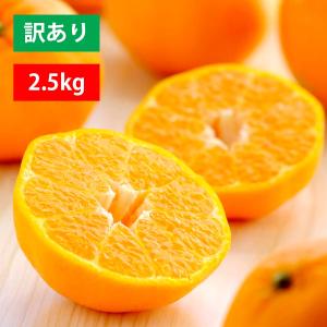 みかん ポンカン 愛媛産 訳あり ご家庭用  2.5kg 濃厚 甘い さわやか 柑橘類 国産 ミカン 蜜柑 果物 フルーツ お取り寄せ｜mikan-hana