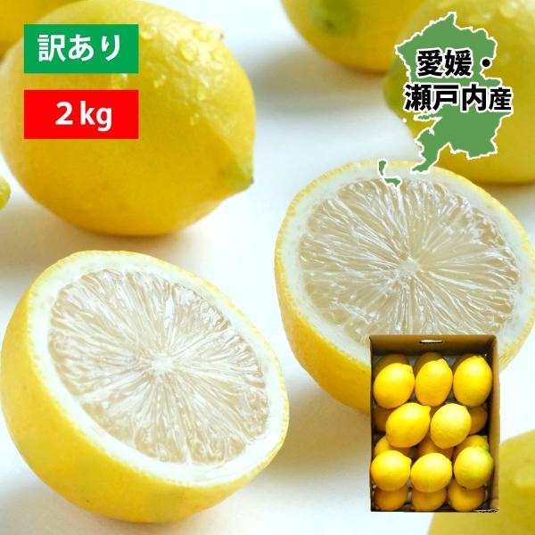 瀬戸内産 国産レモン 愛媛 2kg 訳あり 不揃い れもん 檸檬 家庭用 レモン果汁 フルーツ 果物...