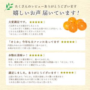 せとか みかん 訳あり 4kg 愛媛産 八幡浜...の詳細画像2