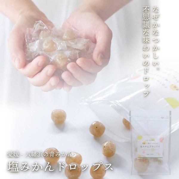 ギフト 塩みかん ドロップス 80g×2セット 愛媛県八幡浜市産のみかん使用 02070440050...