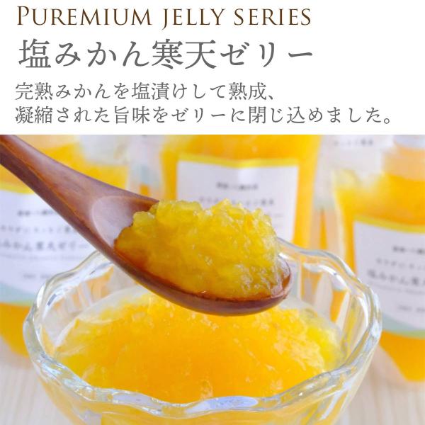 プレゼント みかん ゼリー 塩みかん寒天ゼリー スイーツ ピール入り 8本セット 150g×8本 0...