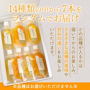 プレゼント ゼリー みかんゼリー ギフト 寒天...の詳細画像4