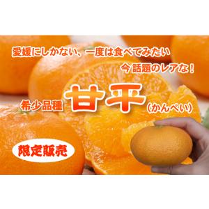 ★本日10%OFFクーポン割引★かんぺい!送料...の詳細画像1