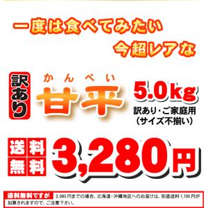 かんぺい!送料無料で赤字覚悟の大箱5kg!希少...の詳細画像3