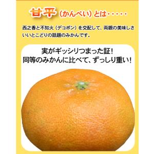 ★本日10%OFFクーポン割引★かんぺい!送料...の詳細画像4
