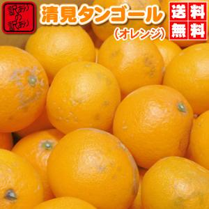 訳ありの訳あり　清見 タンゴール10kg2,280円送料無料⇒清見 オレンジ★大人気の日本名高い・み...