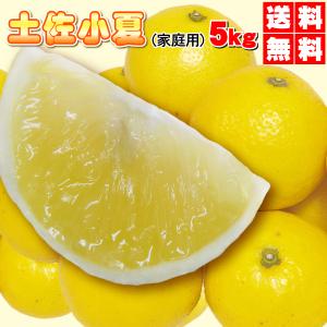 土佐小夏 家庭用・5ｋｇ　美と健康を維持する高価な、みかん（日向夏）送料無料たっぷり5ｋｇ