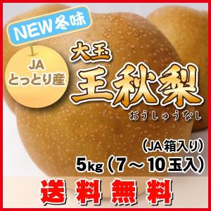 【高糖度・冬味】稀少！大玉・王秋梨（おうしゅうなし）5ｋｇ（7〜10玉）ＪＡ鳥取中央製品箱入・送料無料こたつに王秋梨は美味です。