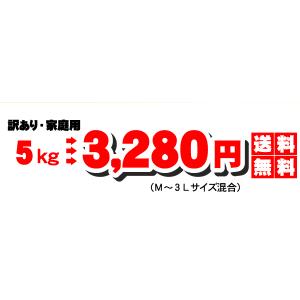 ★本日10%OFFクーポン割引★せとか TVで...の詳細画像3