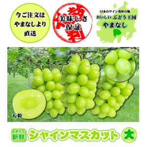 シャインマスカット 約1,2kg 大房2房入★...の詳細画像1