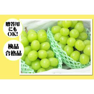 シャインマスカット 約1,2kg 大房2房入★...の詳細画像4
