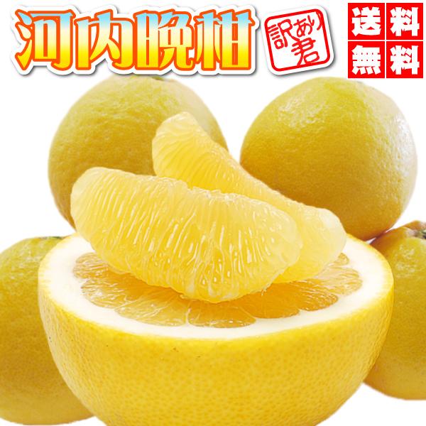 ★本日10％OFFクーポン割引★河内晩柑TVで話題の食べる天然ジュース 河内晩柑 （夏文旦）訳あり君...