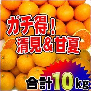 ガチ得タイムセール！清見5kgと甘夏5kg徳用【送料無料】訳あり
