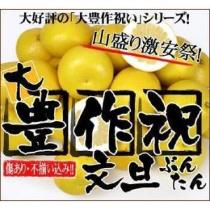 2倍でお得♪大豊作祝いの文旦8〜10ｋg×２【送料無料】