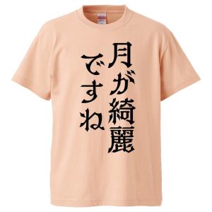 おもしろTシャツ 月が綺麗ですね ギフト プレゼント 面白 メンズ 半袖 無地 漢字 雑貨 名言 パロディ 文字｜mikanbako