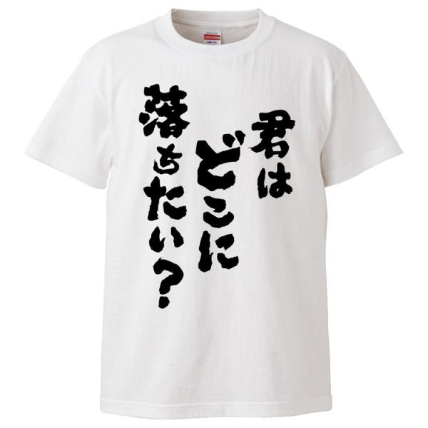 おもしろTシャツ 君はどこに落ちたい？ ギフト プレゼント 面白 メンズ 半袖 無地 漢字 雑貨 名...