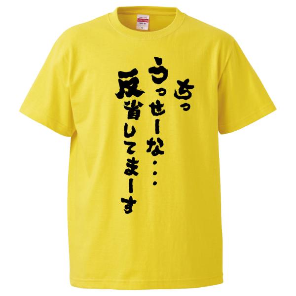 おもしろTシャツ ちっうっせーな反省してまーす ギフト プレゼント 面白 メンズ 半袖 無地 漢字 ...