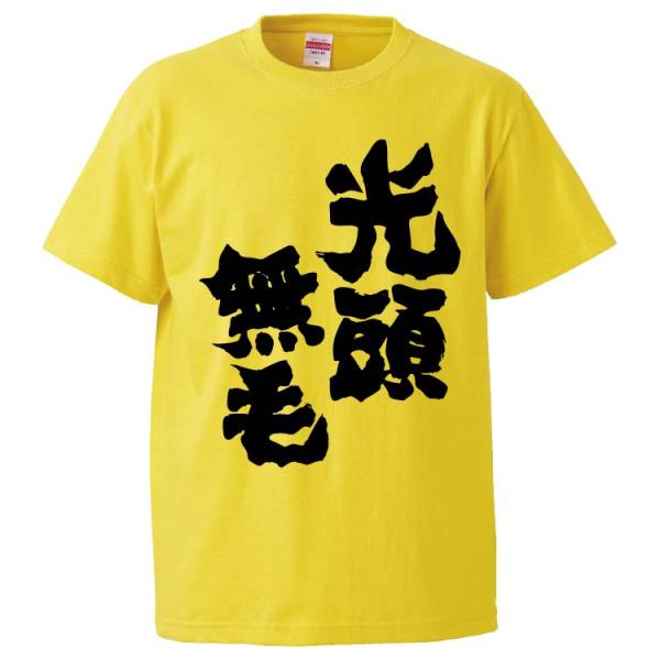 おもしろTシャツ 光頭無毛 ギフト プレゼント 面白 メンズ 半袖 無地 漢字 雑貨 名言 パロディ...