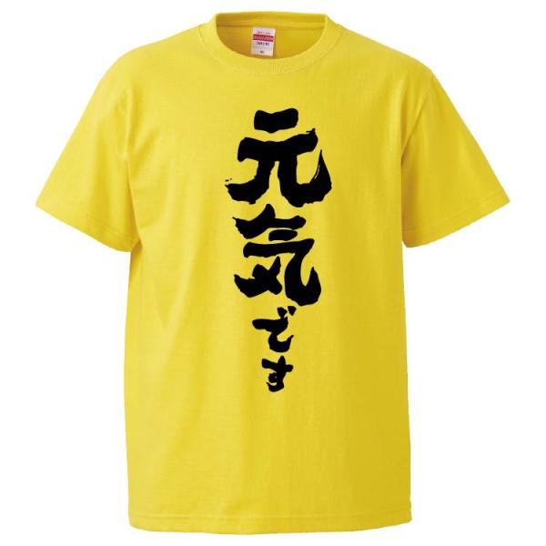 おもしろTシャツ 元気です ギフト プレゼント 面白 メンズ 半袖 無地 漢字 雑貨 名言 パロディ...