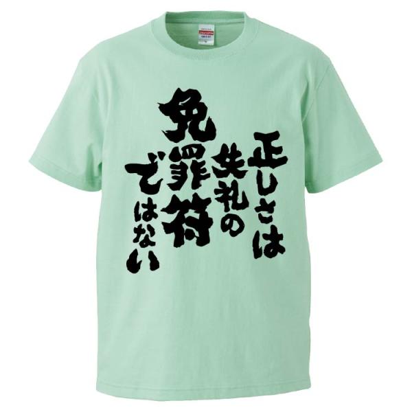 おもしろTシャツ 正しさは失礼の免罪符ではない ギフト プレゼント 面白 メンズ 半袖 無地 漢字 ...