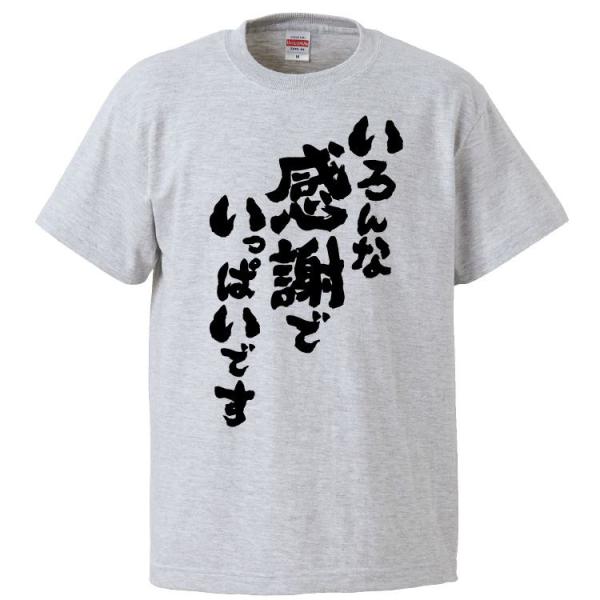 おもしろTシャツ いろんな感謝でいっぱいです ギフト プレゼント 面白 メンズ 半袖 漢字 雑貨 名...