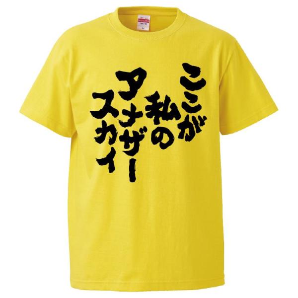 おもしろTシャツ ここが私のアナザースカイ ギフト プレゼント 面白 メンズ 半袖 漢字 雑貨 名言...