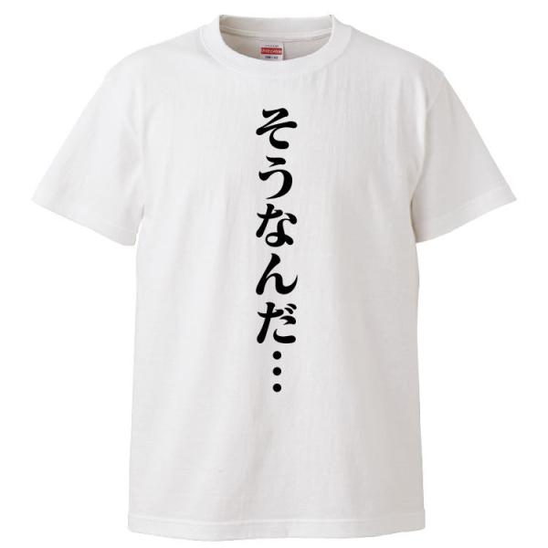 おもしろTシャツ そうなんだ… ギフト プレゼント 面白 メンズ 半袖 漢字 雑貨 名言 パロディ ...