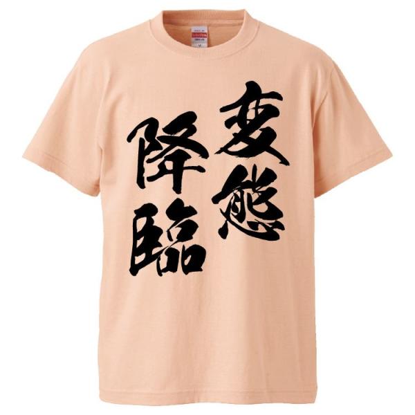 おもしろTシャツ 変態降臨 ギフト プレゼント 面白 メンズ 半袖 漢字 雑貨 名言 パロディ 文字