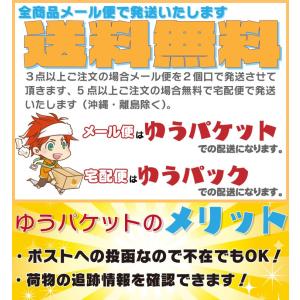 名入れ Tシャツ オリジナル サンシャイン池崎...の詳細画像5