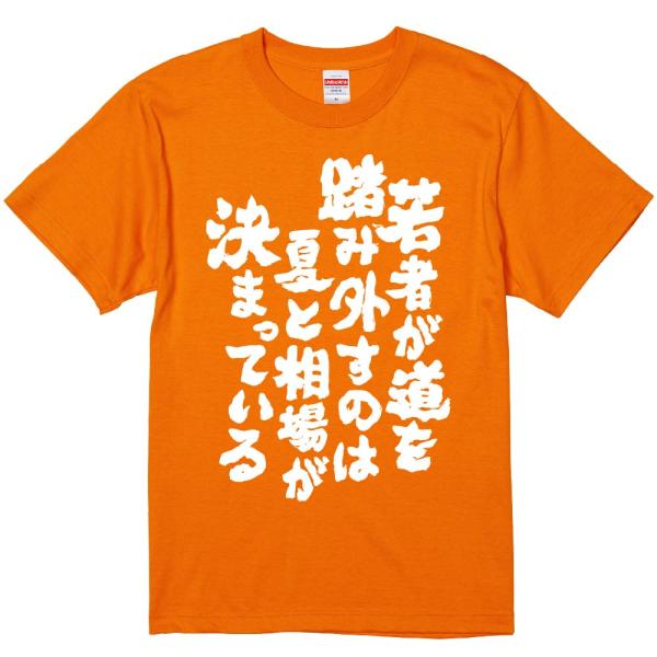 おもしろtシャツ みかん箱 若者が道を踏み外すのは夏と相場が決まっている 濃色綿生地 ネットミーム ...