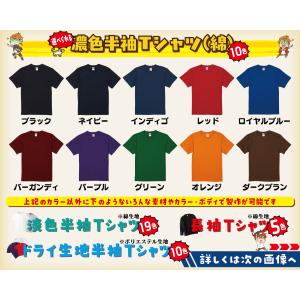 おもしろtシャツ みかん箱 巨乳はバカって言う...の詳細画像1